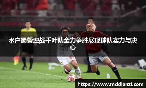 南宫28NG相信品牌力量